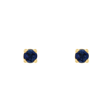 SAMPLE Sapphire Round Earrings